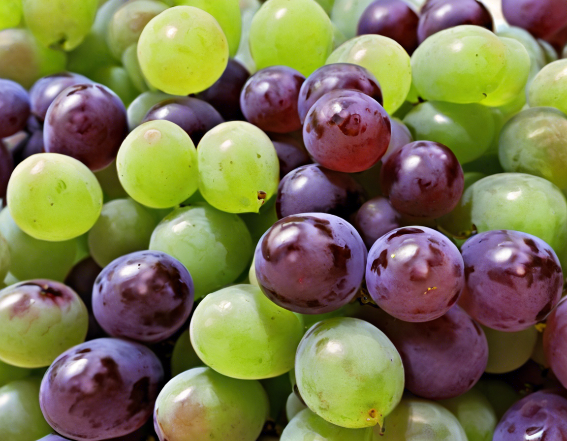 Unlocking the Potential of Genetically Modified Grapes